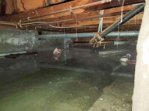 Best Residential water damage restoration  in Yamhill, OR
