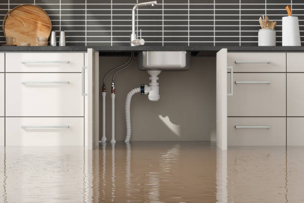 Best Local water damage restoration  in Yamhill, OR